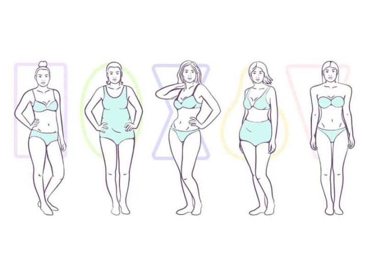a line up of all of the different body types