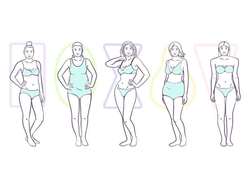 a line up of all of the different body types