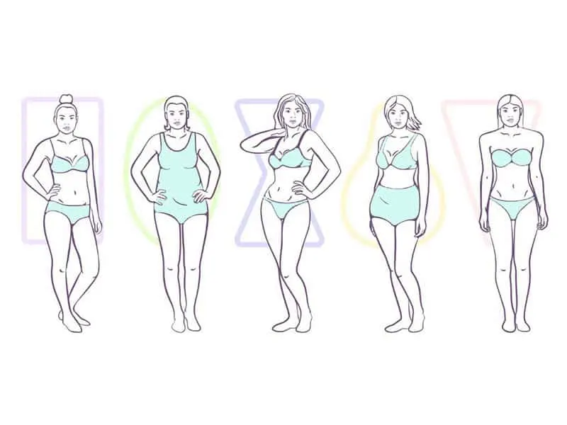 a line up of all of the different body types