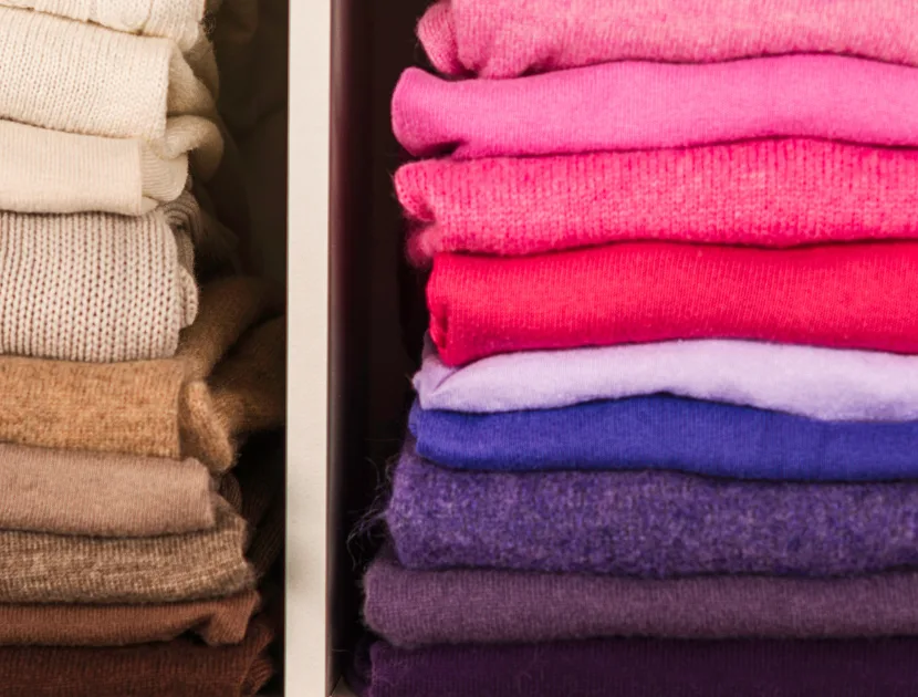 Purging Your Clothes is Emotional Purging Your Clothes is Emotional