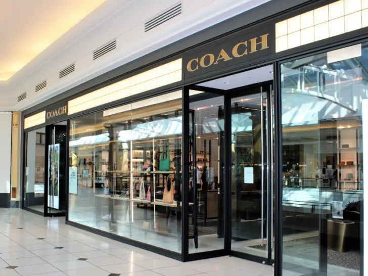 Best COACH bags